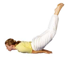 What Is Yoga?