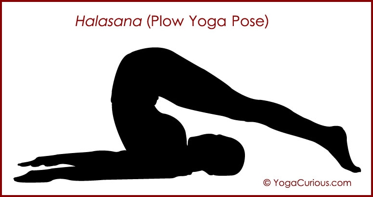 Halasana Or Plough Pose - Explore How To Do & Its Benefits