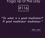 A good meditator meditates