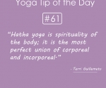 Hatha yoga is spirituality of the body