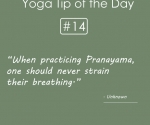 Never Strain Your Breathing in Pranayama