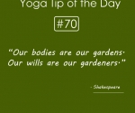 Our bodies are our gardens