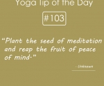 Plant the seed of meditation