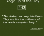 The chakras are very intelligent