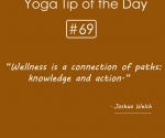 Wellness is a connection of paths