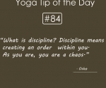 What is discipline
