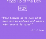 Yoga teaches us to cure