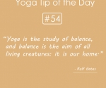 Yoga-the study of balance